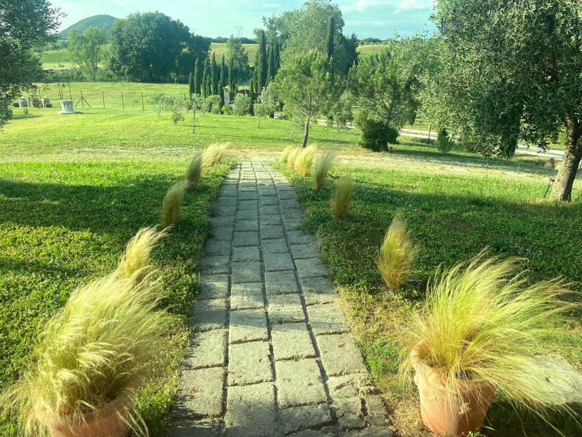 Bed And Breakfast Casale Del Sole Кастелина Маритима Екстериор снимка